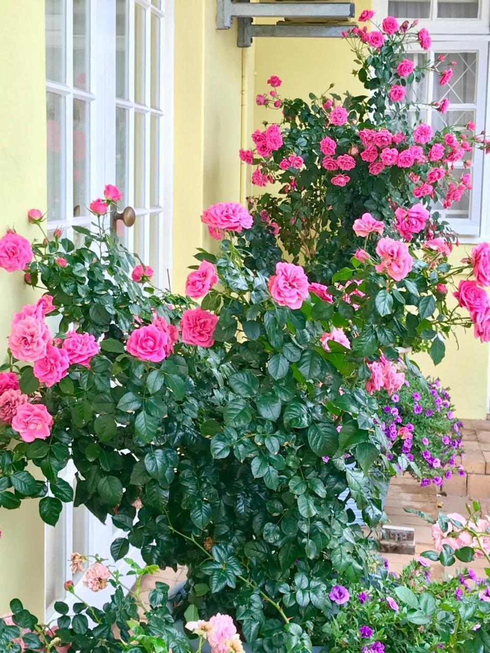 Bed and Breakfast On The Bay Port Elizabeth Esterno foto