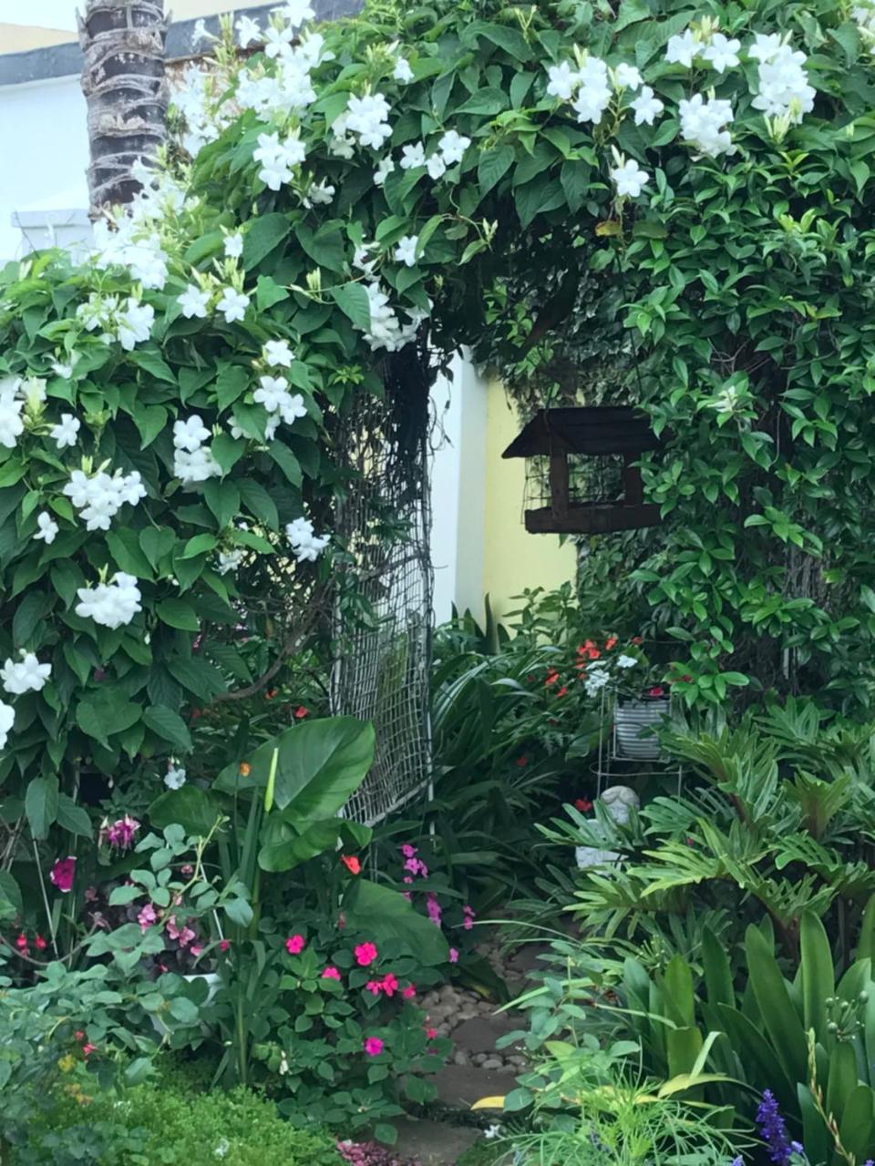 Bed and Breakfast On The Bay Port Elizabeth Esterno foto